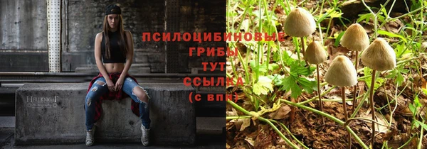твердый Абаза