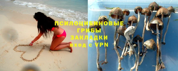 твердый Абаза