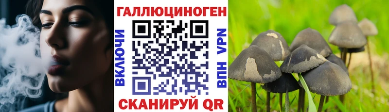 купить наркоту Томилино Псилоцибиновые грибы мицелий